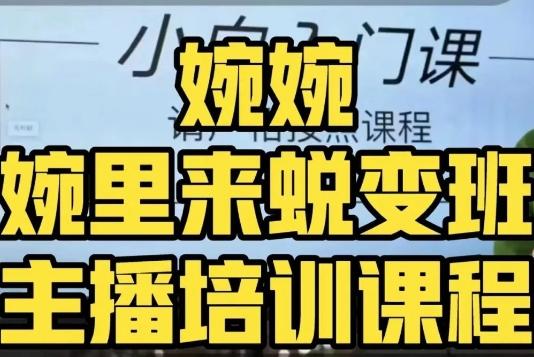 婉婉·婉里来蜕变班（主播课）全方位理解底层逻辑并灵活运用-搞个副业