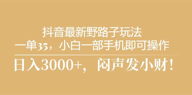抖音最新野路子玩法，一单35，小白一部手机即可操作，，日入3000+，闷…-搞个副业