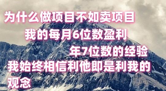 做项目不如卖项目，每月6位数盈利，年7位数经验-搞个副业
