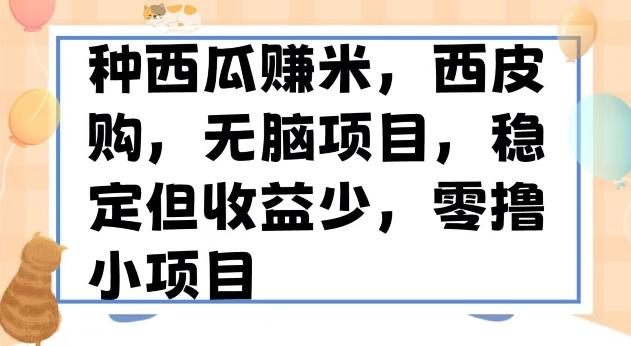 种西瓜赚米，西皮购稳定长久零撸小项目-搞个副业