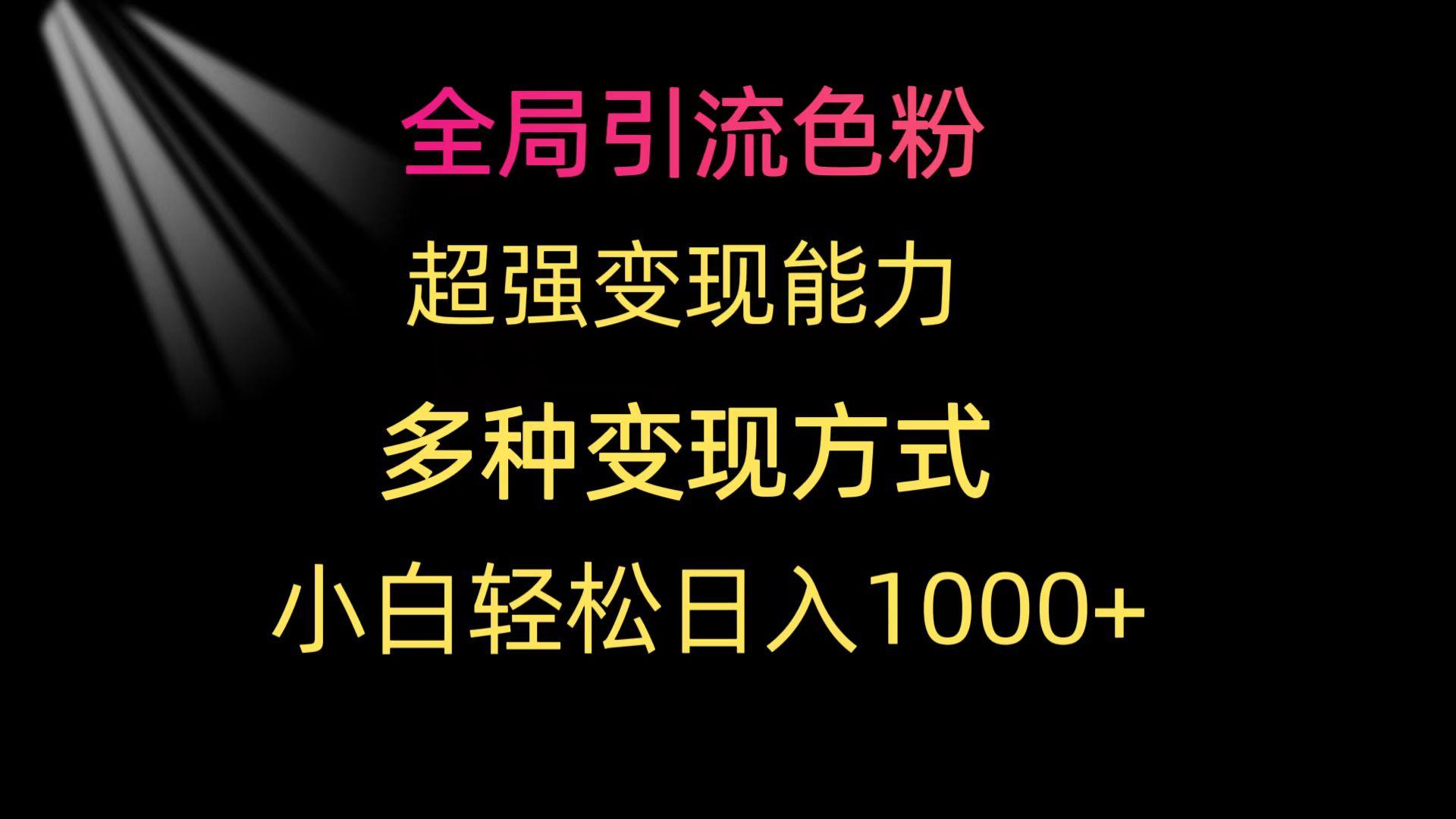 (9680期)全局引流色粉 超强变现能力 多种变现方式 小白轻松日入1000+-搞个副业