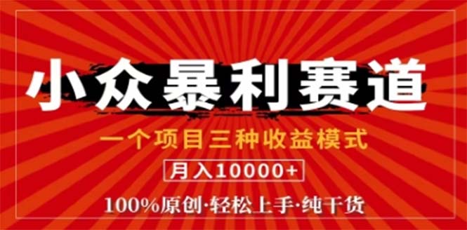 视频号最新爆火赛道，三种可收益模式，0粉新号条条原创条条热门 日入1000+-搞个副业