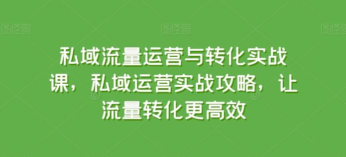私域流量运营与转化实战课，私域运营实战攻略，让流量转化更高效-搞个副业