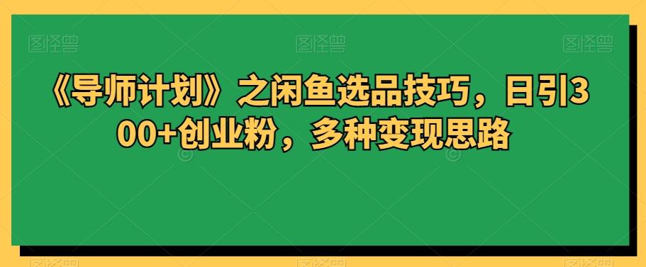 《导师计划》之闲鱼选品技巧，日引300+创业粉，多种变现思路-搞个副业