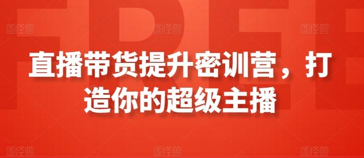 直播带货提升密训营，打造你的超级主播-搞个副业