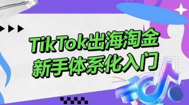 TikTok出海淘金，新手体系化入门，零基础快速入门，掌握短视频、直播带货等引流到变现的知识-搞个副业