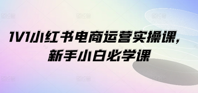 1V1小红书电商运营实操课，新手小白必学课-搞个副业