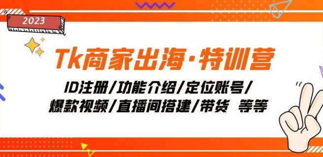 Tk商家出海·特训营：ID注册/功能介绍/定位账号/爆款视频/直播间搭建/带货-搞个副业