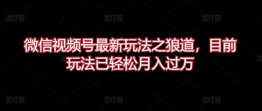 微信视频号最新玩法之狼道，目前玩法已轻松月入过万【揭秘】-搞个副业
