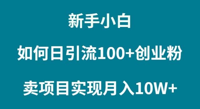 (9556期)新手小白如何通过卖项目实现月入10W+-搞个副业
