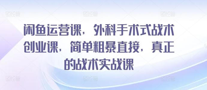 闲鱼运营课，外科手术式战术创业课，简单粗暴直接，真正的战术实战课-搞个副业