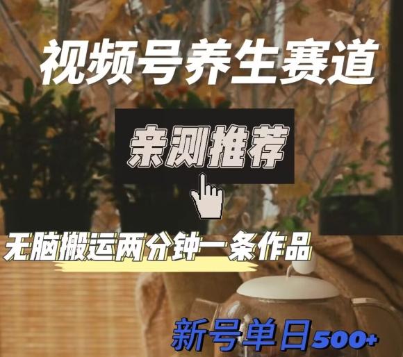 视频号养生赛道暴力掘金，无脑搬运，两分钟一条作品-新日单入500+-搞个副业