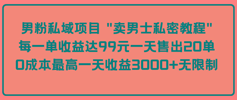 (9730期)男粉私域项目 “卖男士私密教程” 每一单收益达99元一天售出20单-搞个副业