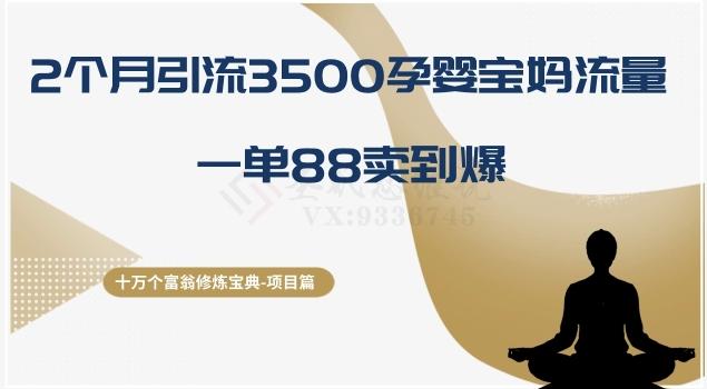 十万个富翁修炼宝典之13.2个月引流3500孕婴宝妈流量，一单88卖到爆-搞个副业