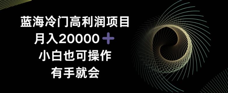 蓝海冷门高利润项目月入2000，小白也可操作有手就会-搞个副业